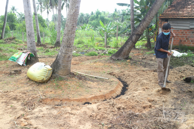 The owner of the coconut garden implements the process of applying organic fertilizer to renovate the old coconut gardens. Photo: V.D.T.