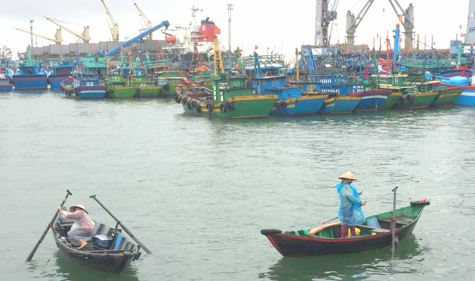 Vùng nước trong Cảng cá Quy Nhơn (Bình Định) chật hẹp khiến tàu cá neo đậu trong mùa mưa bão va đập gây hư hỏng. Ảnh: Đình Thung.