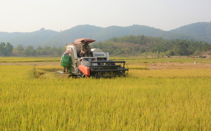 Nông dân Buôn Chóah hiện nay đã áp dụng toàn diện máy móc vào sản xuất lúa, giải phóng sức lao động. Ảnh: Quang Yên.