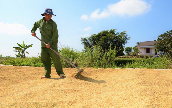 Đăk Nông đã công nhận vựa lúa Buôn Chóah là vùng sản xuất nông nghiệp ứng dụng công nghệ cao. Ảnh: Quang Yên.