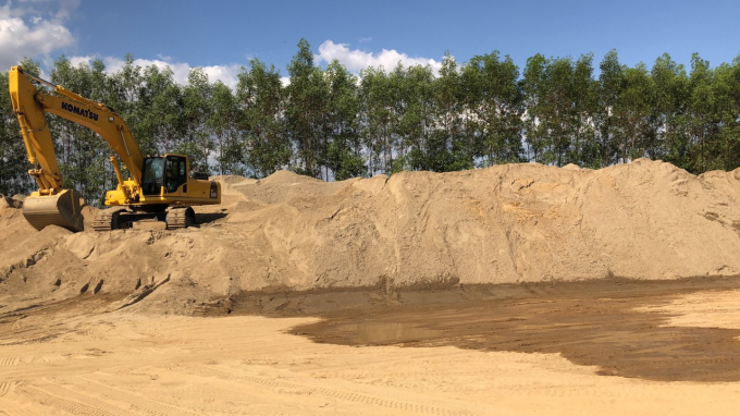 Điểm tàng trữ cát không phép của Công ty Thuận Phong nằm sâu bên trong rừng tràm, khối lượng cát nhìn bằng mắt thường lên tới hàng ngàn khối. Ảnh: Đức Trung.