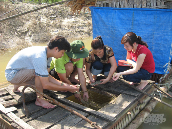 Nghề nuôi cá lồng giúp nhiều nông dân ở Tuyên Quang có thu nhập khá. Ảnh: Đào Thanh.