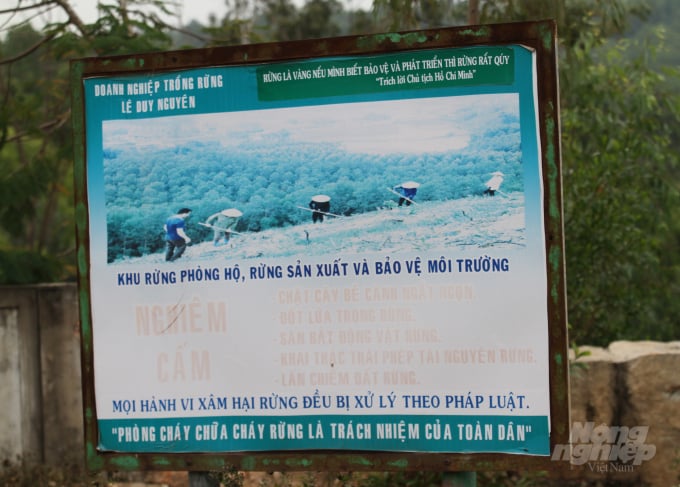 Thanh Thành Đạt chưa chi trả kinh phí GPMB do liên quan đến diện tích rừng của Doanh nghiệp Lê Duy Nguyên. Ảnh: Việt Khánh.