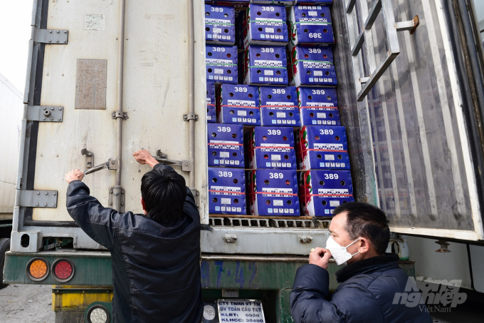 To be able to export through official quota, the first problem of Vietnamese agro-products is the assurance of production procedure and product quality. Photo: Tung Dinh.