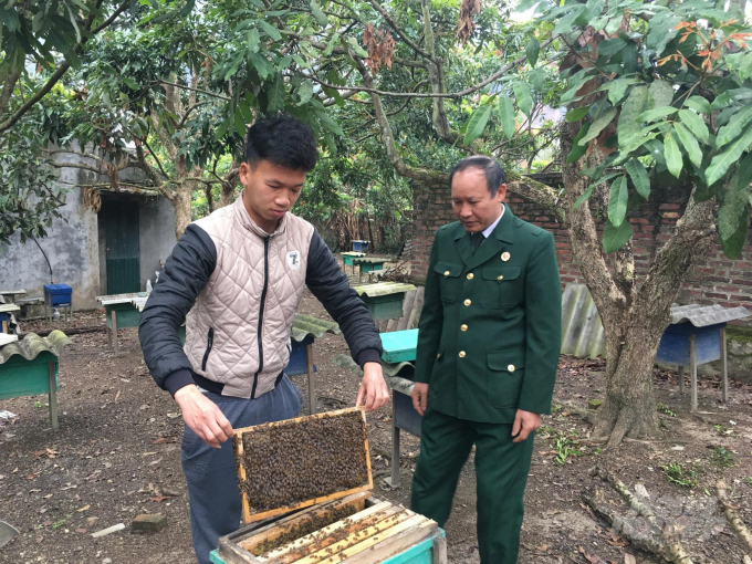 Cựu chiến binh Nguyễn Thành Nhật kiểm tra thùng ong mật. Ảnh: Đồng Văn Thưởng.
