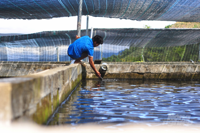 Mô hình nuôi cá nước lạnh tại Lâm Đồng trong những năm qua mang lại hiệu quả kinh tế cao. Ảnh: Minh Hậu.