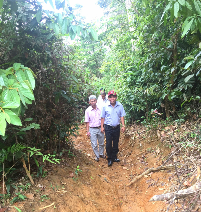 An Toan Nature Reserve’s flora and fauna possess high biodiversity. Photo: V.D.T.