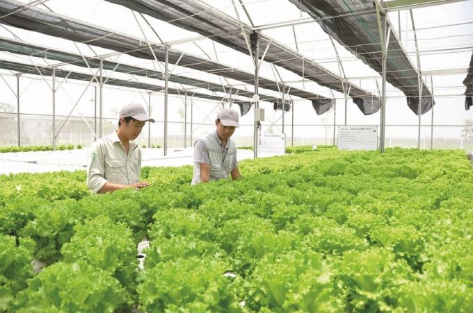 Dự án Eco-Fair mang đến cơ hội để nông nghiệp Việt Nam chuyển dịch theo hướng phát triển bền vững.