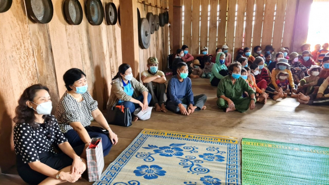 An Lao Women's Union organizes dissemination activities and mobilizes Bana people in An Toan commune to participate in growing vine tea. Photo: V.D.T.