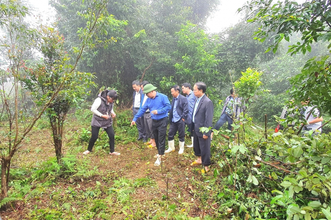 Ông Nguyễn Phi Long, Chủ tịch UBND tỉnh Bình Định (người đội mũ cối), thăm vườn ươm cây giống dược liệu của Công ty BIDIPHAR tại xã An Toàn (huyện An Lão, Bình Định). Ảnh: V.Đ.T.