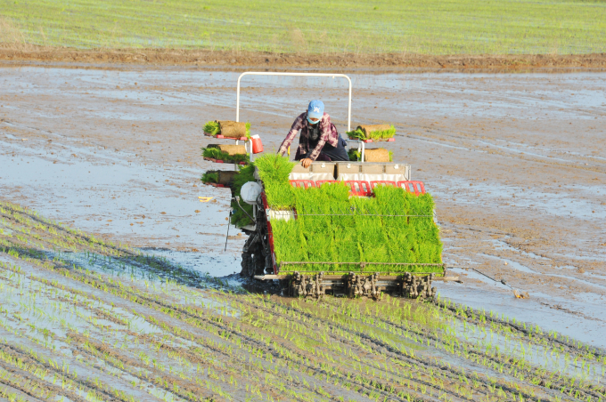 Cùng với cơ giới hóa trong sản xuất, các quy trình canh tác lúa tiên tiến từ Dự án VnSAT đã giúp nông dân Đồng Tháp giảm nhiều chi phí. Ảnh: Lê Hoàng Vũ.