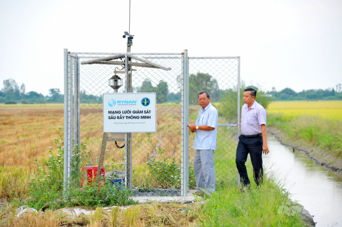 Rice farmers in Dong Thap no longer worry about the attack of pests and planthoppers because their fields have been equipped with intelligent pest monitoring stations. Photo: Van Vu.