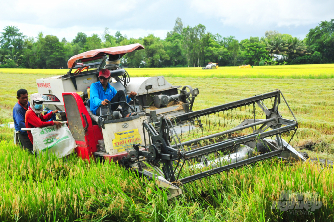 Farm business models applying mechanization and advanced farming solutions in sync. Photo: Le Hoang Vu.