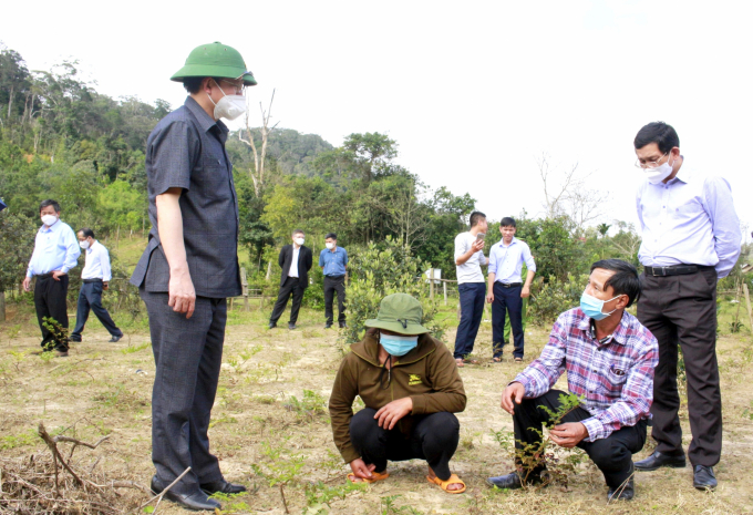 Mr. Ho Quoc Dung, Secretary of Binh Dinh Provincial Party Committee (far left, standing), inspecting the vine tea growing area in An Toan commune. Photo: V.D.T.