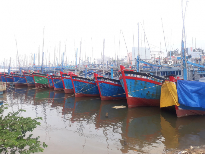 Khu neo đậu trong Cảng cá Tam Quan (thị xã Hoài Nhơn, Bình Định) bị quá tải. Ảnh: LK.