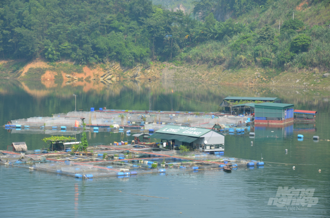 Toàn huyện Na Hang hiện nay có khoảng 1.000 lồng cá. Ảnh: Đào Thanh.