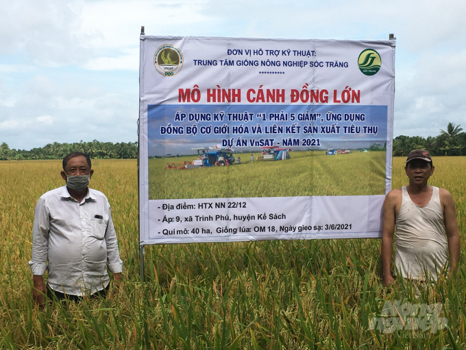 Dự án VnSAT triển khai tại HTX Nông nghiệp 22-12 (xã Trinh Phú, huyện Kế Sách) trên cánh đồng lớn. Ảnh: MĐ.