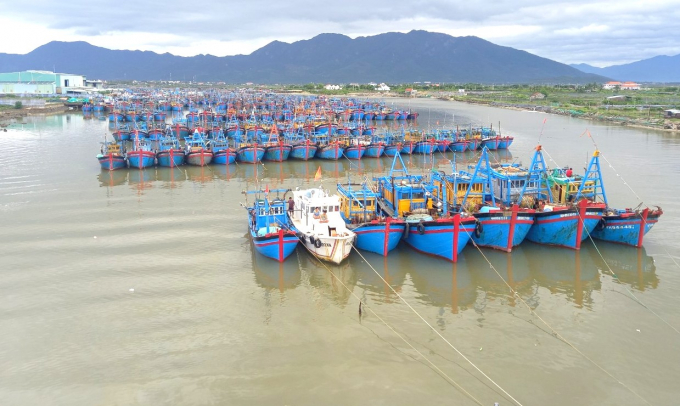 Khu neo đậu tránh trú bão Ninh Hải (thị xã Ninh Hòa, Khánh Hòa) vào mùa mưa bão rất đông tàu thuyền neo đậu tránh trú. Ảnh: KS.
