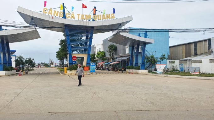 Cảng cá Tam Quang (huyện Núi Thành, Quảng Nam) được quy hoạch là cảng cá loại I, nhưng chỉ đáp ứng đủ tiêu chuẩn để công bố cảng cá loại II vào tháng 2 vừa qua. Ảnh: KS.