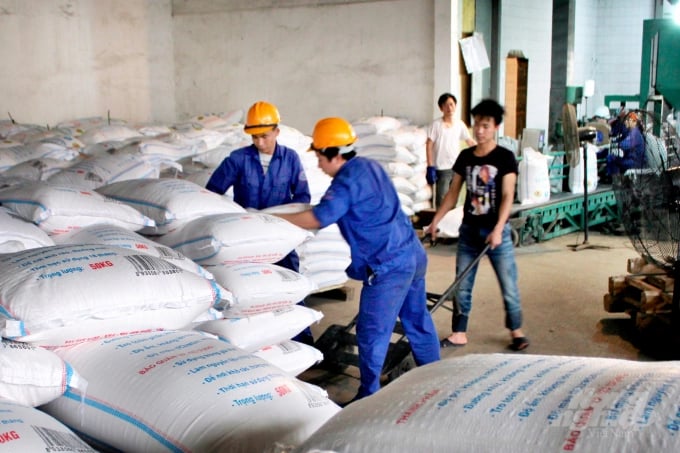 Sugar prices are at a good level driving the factory to promote raw cane purchase for farmers. Photo: Dao Thanh.
