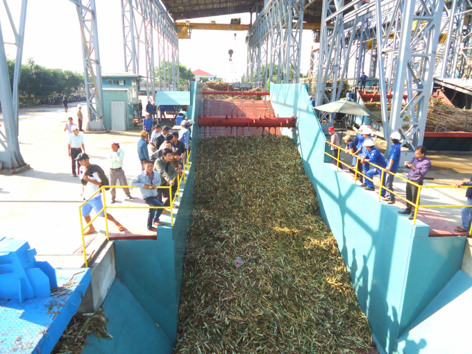 An Khe Sugar Factory’s squeezing-sugarcane crop of 2021-2022 is set to end on April 20, 2022. Photo: V.D.T.