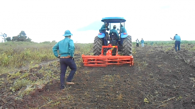 Hiện 100% diện tích mía ở huyện Kbang (Gia Lai) đã áp dụng cơ giới hóa khâu làm đất. Ảnh: V.Đ.T.