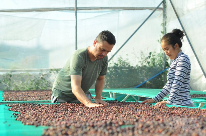 Lam Dong's agricultural sector aims to reorganize production in the direction of forming cooperatives, cooperative groups in chains, and focusing on post-harvest handling. Photo: Minh Hau.