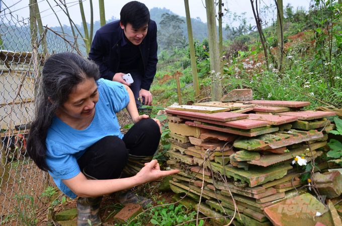 Insect hotel. Photo: Duong Dinh Tuong.