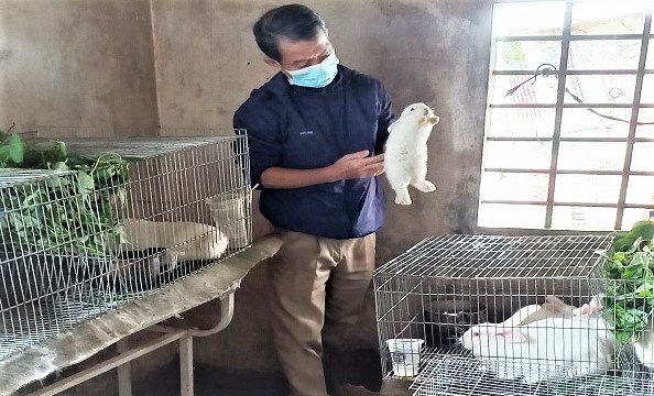 Kỹ thuật nuôi thỏ thịt Cách chăn nuôi hiệu quả nhất  VƯỜN SINH THÁI