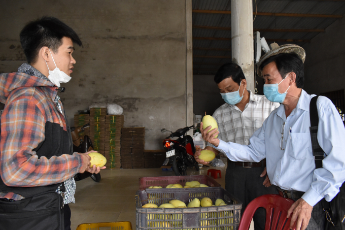 The delegation checked the record of origin and types of agricultural products at packing facilities. Photo: Minh Dam.