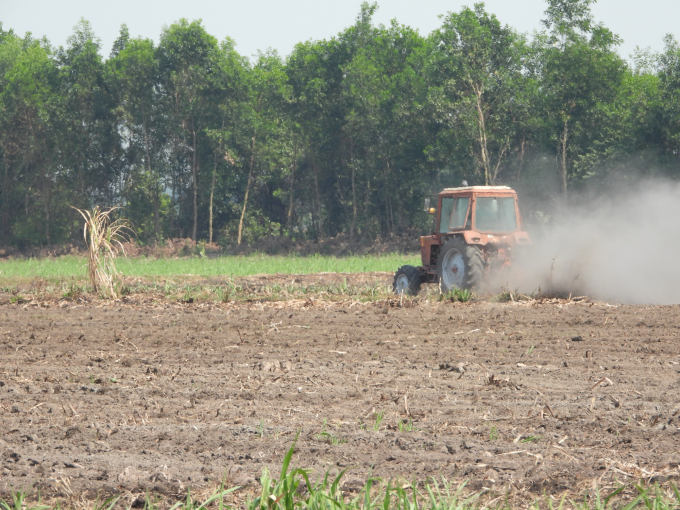 Cơ giới hóa được áp dụng phổ biến vào khâu làm đất để trồng mía tại Tây Ninh. Ảnh: Trần Trung.