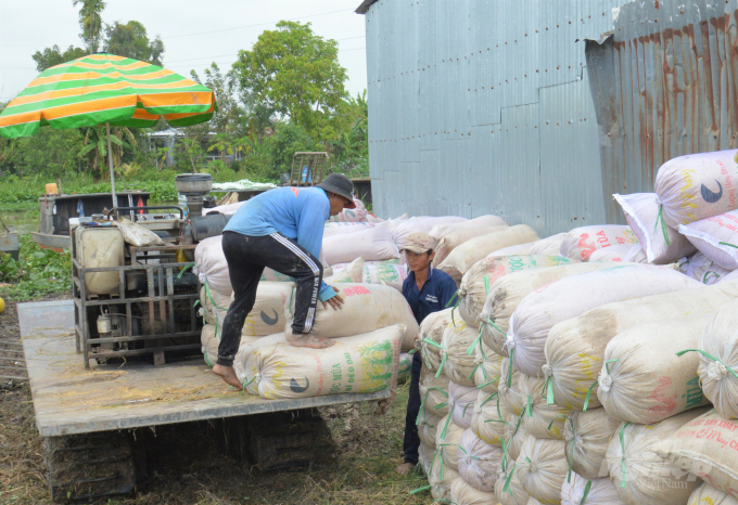 The program to develop rice through 'Big paddy' in Kien Giang has gradually formed a concentrated production area to meet the requirements of consumption linkages and large output to meet export demand. Photo: Trung Chanh.