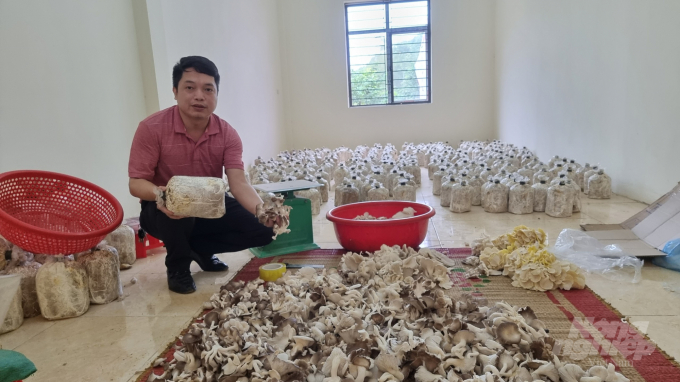 Sản phẩm nấm rơm của HTX Dịch vụ nông nghiệp Hợp Giang chuẩn bị được xuất ra thị trường. Ảnh: Toán Nguyễn.