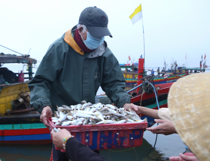 Without a wharf, Ha Tinh fishermen have to manually transfer fish. Photo: Thanh Nga.