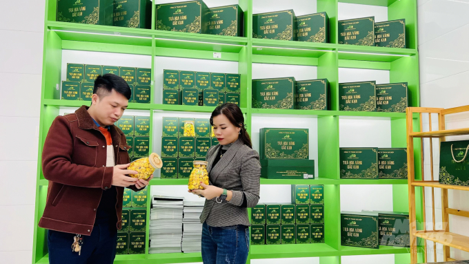 Nữ doanh nhân Hà Minh Đợi giới thiệu sản phẩm trà hoa vàng cho phóng viên Toán Nguyễn, Báo Nông nghiệp Việt Nam. Ảnh: Toán Nguyễn.