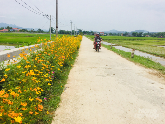 Những con đường hoa ở xã Hưng Đạo, thành phố Cao Bằng tạo nên bức tranh thơ mộng ở vùng quê. Ảnh: Công Hải.