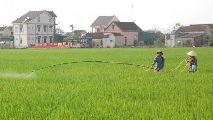 Nông dân tại Nghệ An phun phòng trừ bệnh đạo ôn hại lúa đông xuân 2022. Ảnh: THNA.