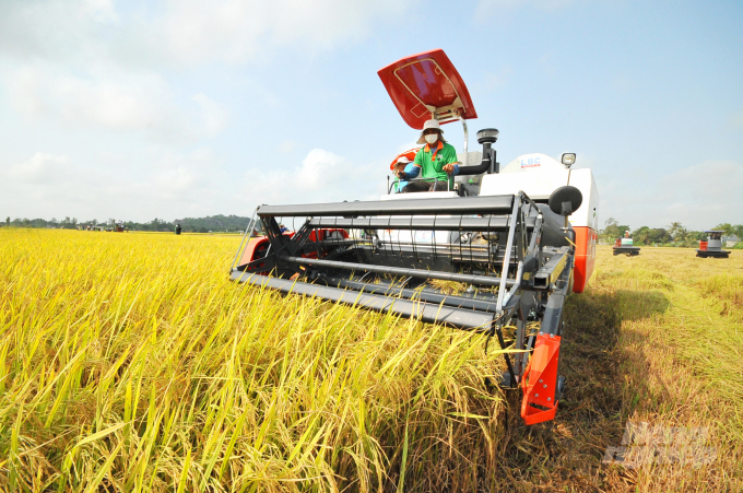 The application of innovated production processes has been effective and being replicated by farmers in the Mekong Delta. Photo:  Van Vu.