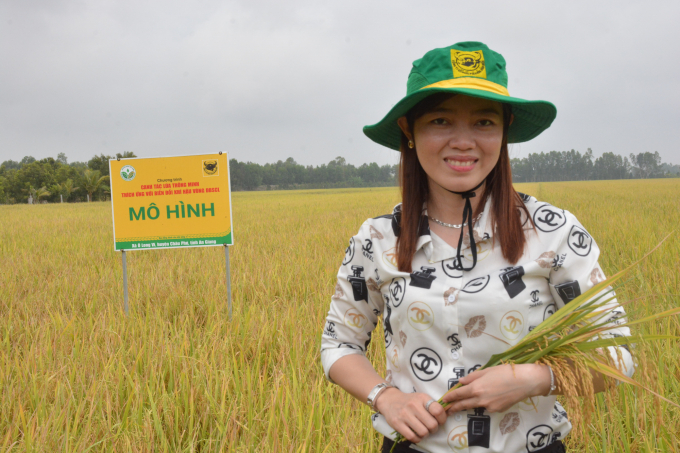 Mô hình canh tác lúa thông minh ở xã Ô Long Vĩ, huyện Châu Phú, tỉnh An Giang. Ảnh: Ngọc Thắng.