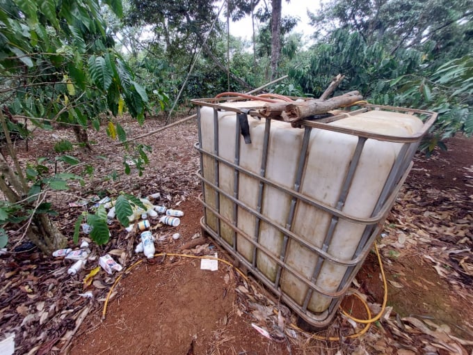 Giant pesticide container in a VietGAP orchard. Photo: Minh Quy.