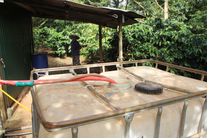 Excessive use of fertilizers and pesticides is 'poisoning' the key durian area in the Central Highlands. Photo: Minh Quy.