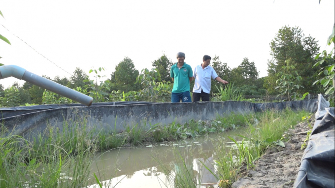 Các bể bạt bán nhân tạo được anh Hiếu thiết kế lựa chọn bùn, nước phù hợp để nuôi lươn bố mẹ. Ảnh: Thanh Nghĩa.