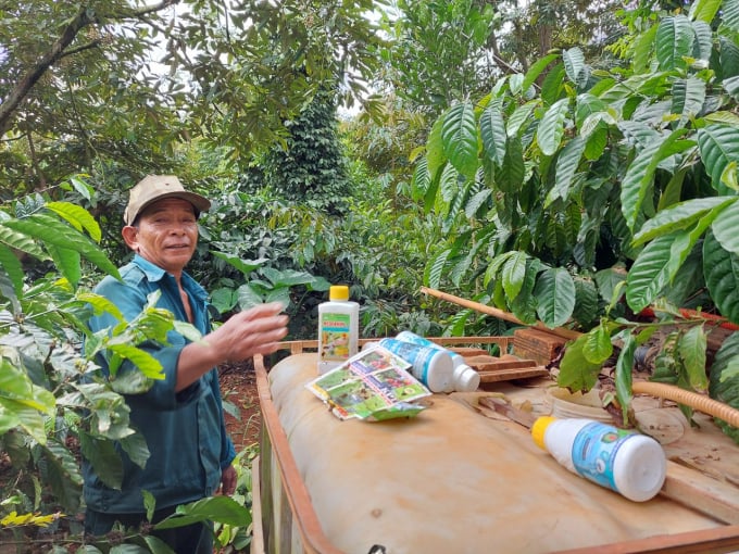 Central Highlands growers are drowning in the matrix of the agro-input market. Photo: Hoang Anh.
