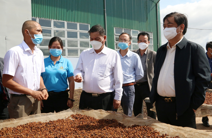 Bộ trưởng Lê Minh Hoan (bìa phải) cùng đoàn công tác thăm HTX Nông nghiệp Nam Yang (Gia Lai) chuyên trồng cà phê thuộc Dự án VnSAT. Ảnh: Tùng Đinh.