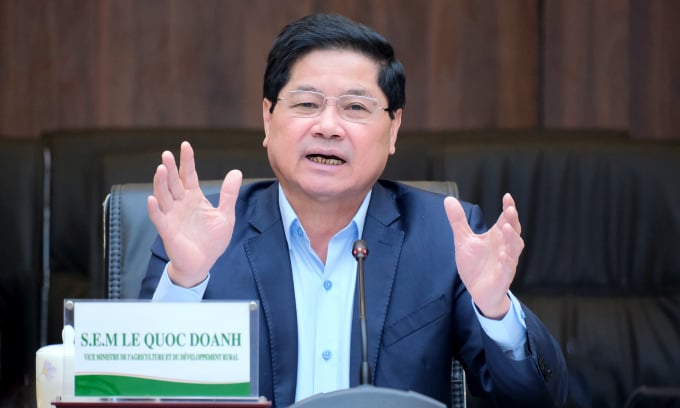 Thứ trưởng Lê Quốc Doanh phát biểu tại buổi làm việc với World Bank ngày 31/3. Ảnh: Bảo Thắng.