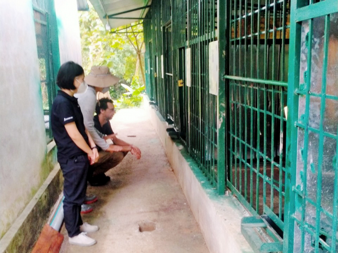 Khu nuôi nhốt đàn hổ tại VQG Phong Nha - Kẻ Bàng. Ảnh: T.P