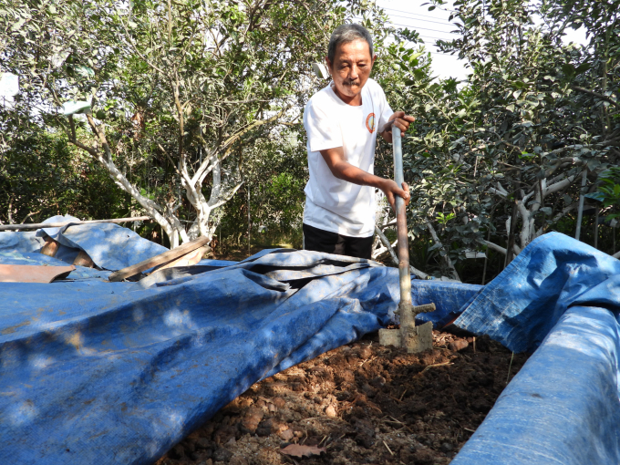 Ông Minh quy hoạch gần 500m2 đất ngay tại vườn để ủ phân chuồng để chủ động chăm sóc vườn cây. Ảnh: Trần Trung.