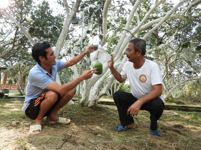 Mr. Minh shares farming secrets with a cooperative member. Photo: Tran Trung.