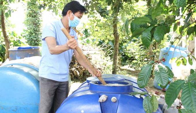 Các mô hình trồng cà phê cảnh quan đều sử dụng phân ủ để bảo vệ đất, tiết kiệm chi phí. Ảnh: Quang Yên.