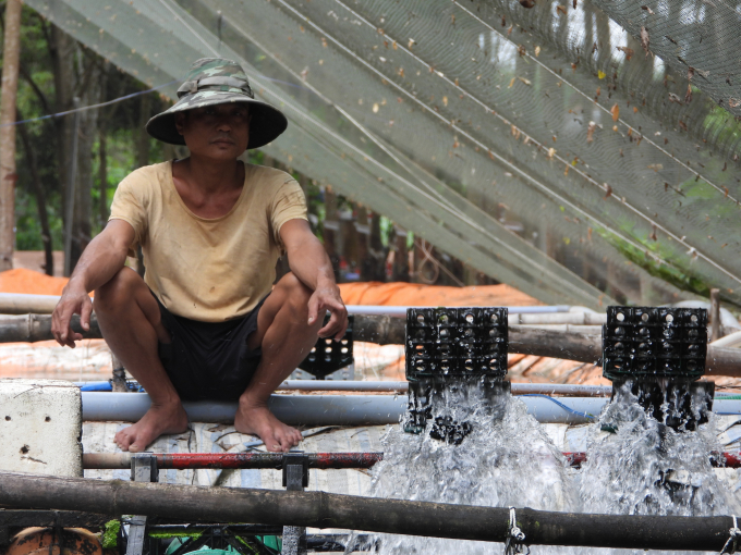 Mr. Giau combined his wealth of experience in shrimp farming with his tire track ell pond to create a sustainable development model. Photo: Tran Trung.
